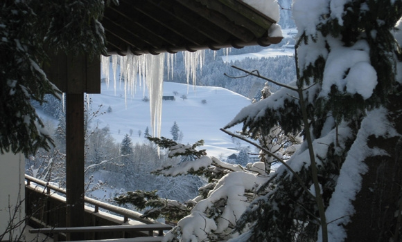 Winter Traum im Schwarzwald